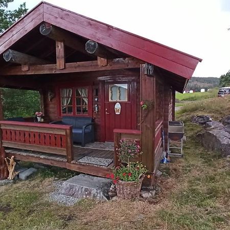 Suigard Smia Villa Sauland Exteriör bild