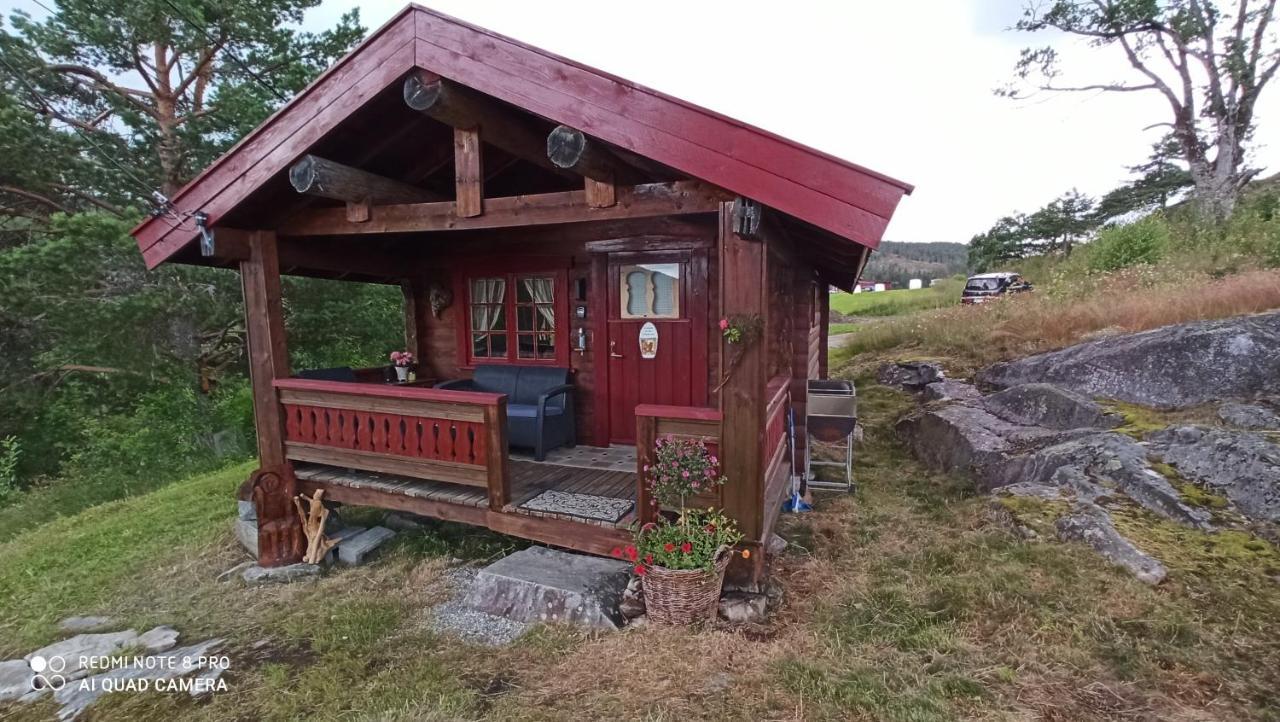 Suigard Smia Villa Sauland Exteriör bild