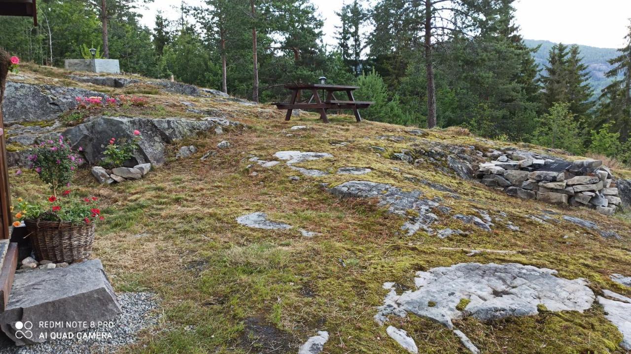 Suigard Smia Villa Sauland Exteriör bild